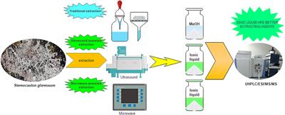 Are Ionic Liquids Better Extracting Agents Than Toxic Volatile Organic Solvents? A Combination of Ionic Liquids, Microwave and LC/MS/MS, Applied to the Lichen Stereocaulon glareosum